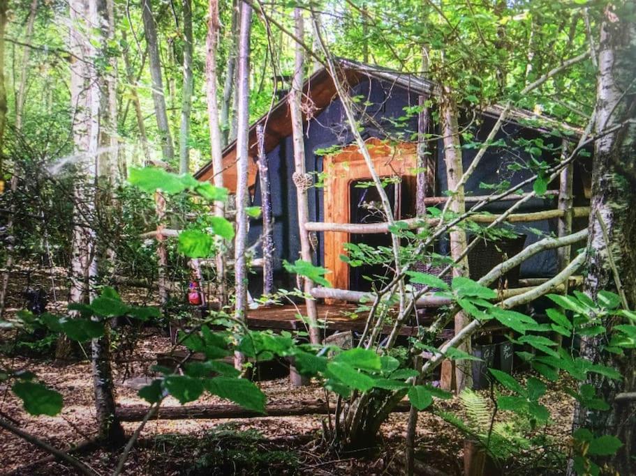 Cosy Woodland Romantic Retreat With Log Fires And Nature Sturry Exterior foto